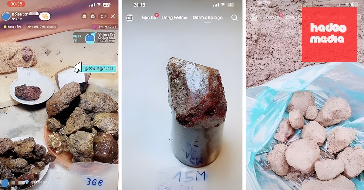 Các buổi livestream có "chim mồi" dụ nạn nhân. Ảnh: Công an Ninh Bình