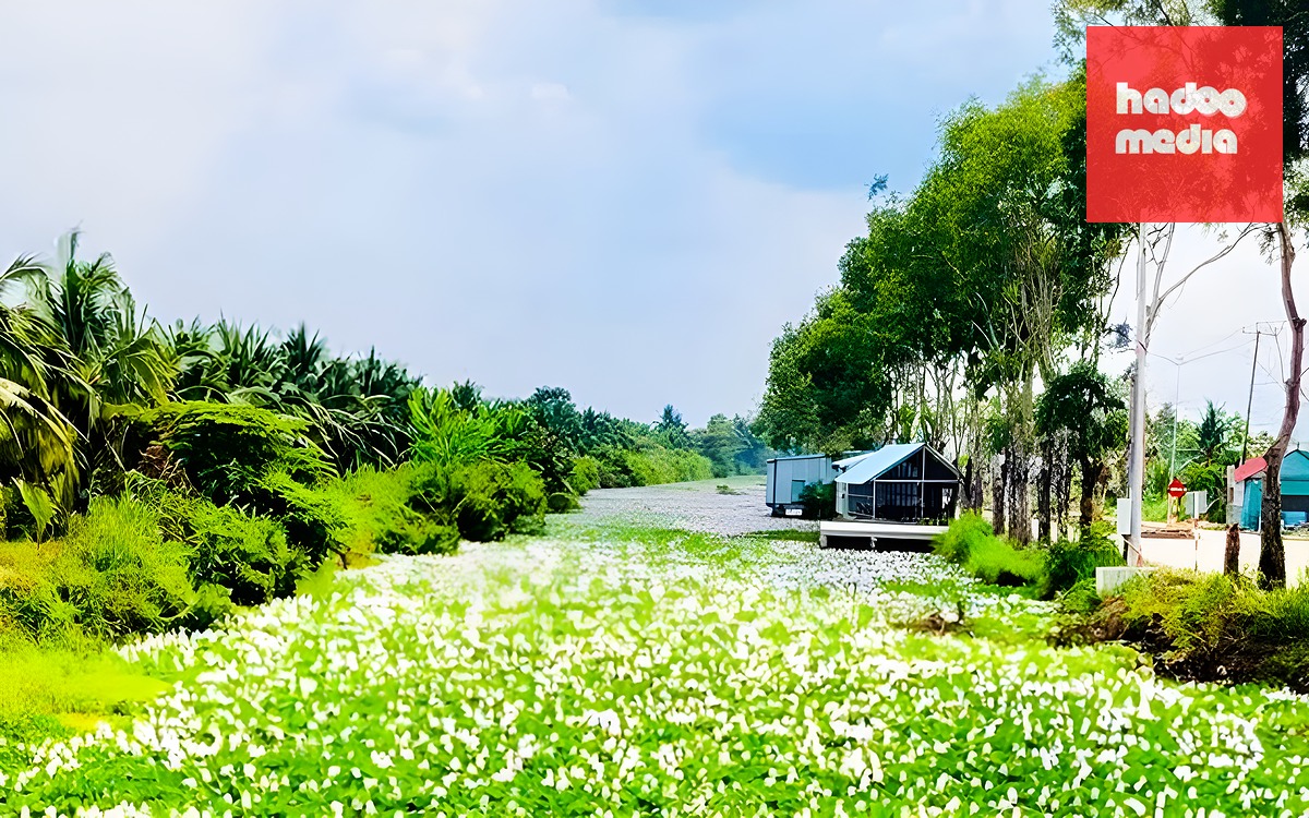 Xây cổng hoành tráng lấn đường; Có cần rút hết xăng A95 trước khi đổ E10? - Ảnh 2.
