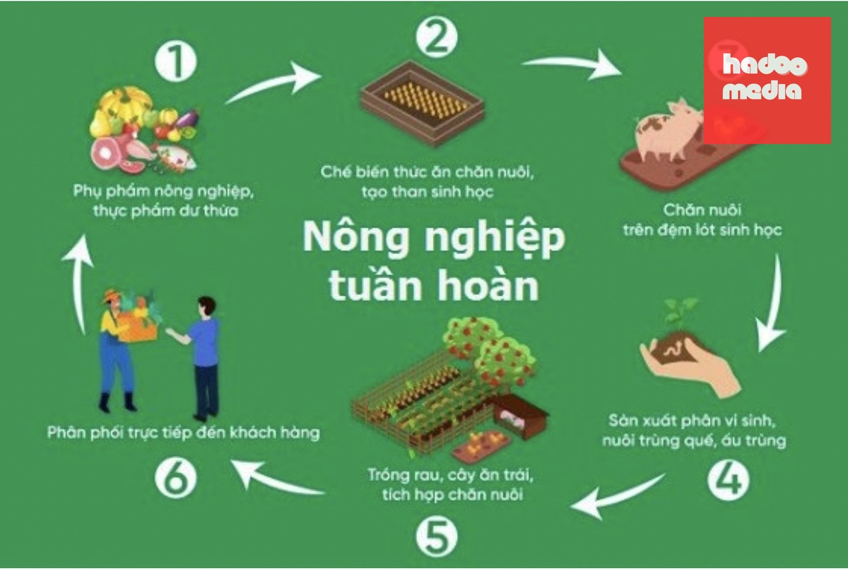 nông nghiệp - Ảnh 3.