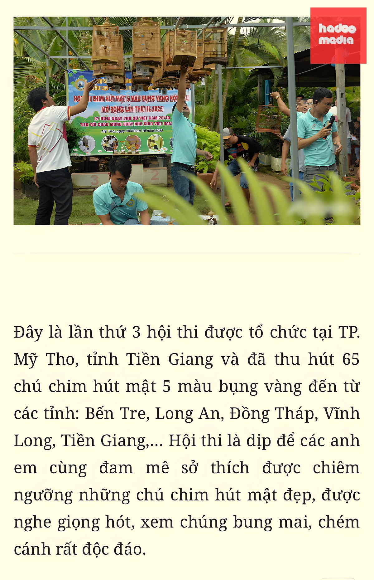 chim hút mật - Ảnh 5.