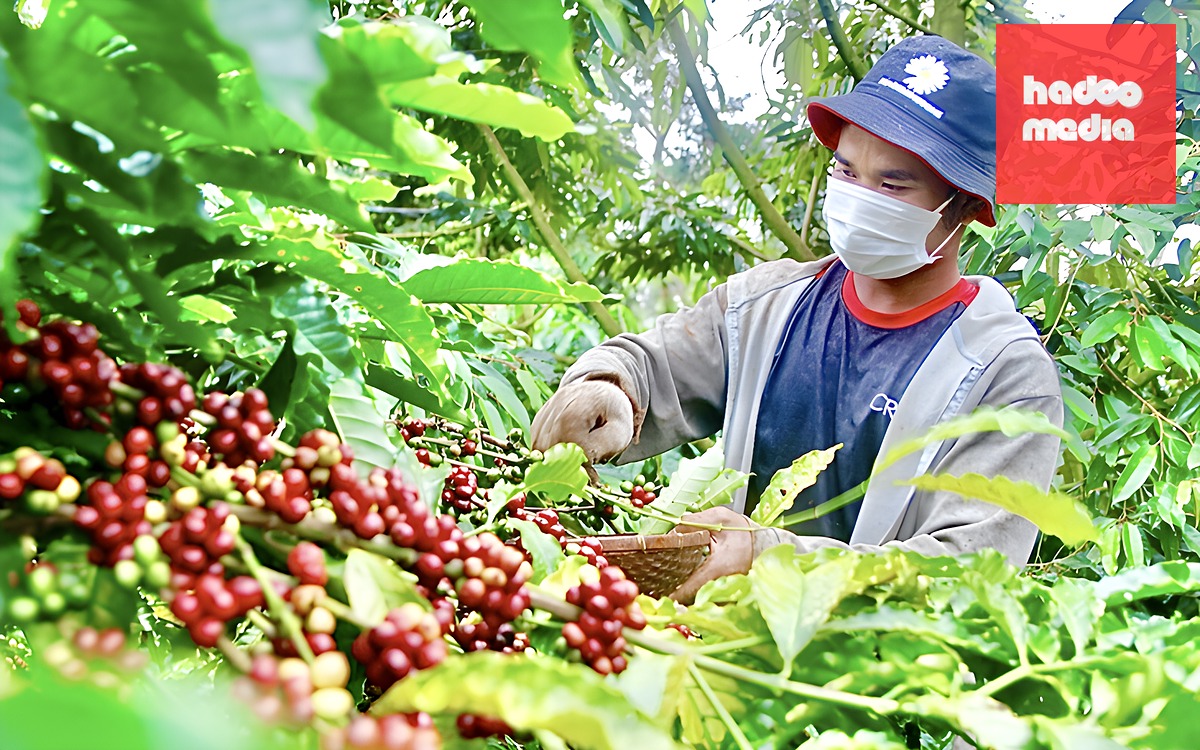 Thời tiết hôm nay 26-5: Bắc Bộ đến Huế nắng như rang - Ảnh 2.
