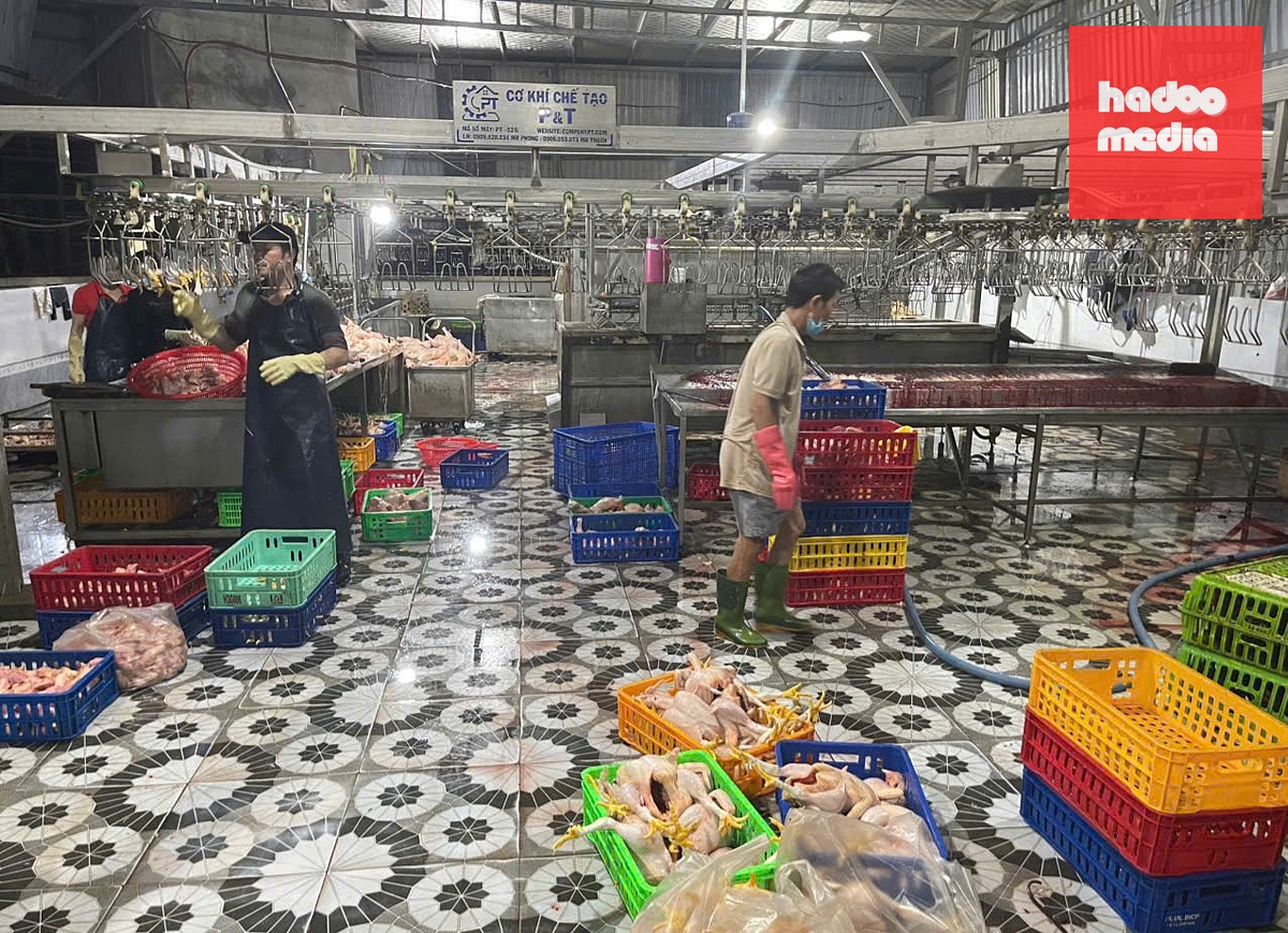 Địa điểm giết mổ tại phường Tân Đông Hiệp bị cơ quan chức năng xử phạt 10,5 triệu đồng