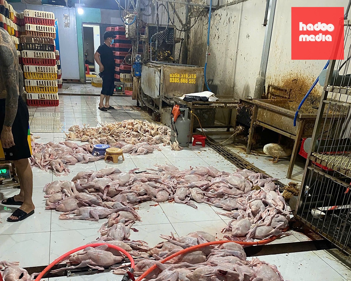 Địa điểm giết mổ vịt, gà trái phép, không đảm bảo vệ sinh tại một chợ trên địa bàn phường Thới Hòa đã bị cơ quan chức năng xử phạt