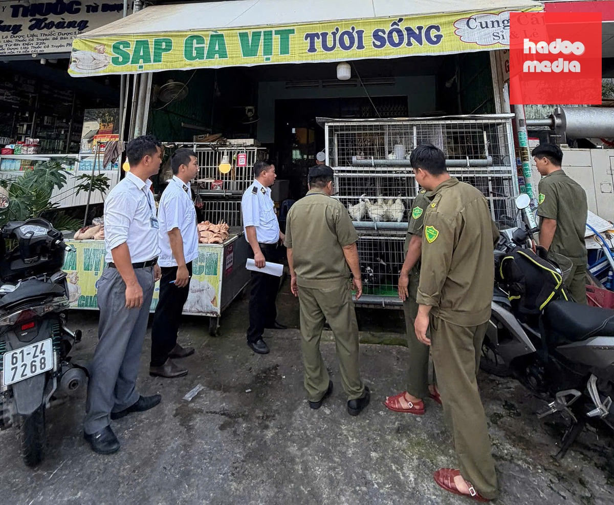 Lực lượng thú y TP.HCM khẳng định sẽ tăng phối hợp với các ban ngành, chính quyền phường xã để siết tình trạng giết mổ động vật trái phép