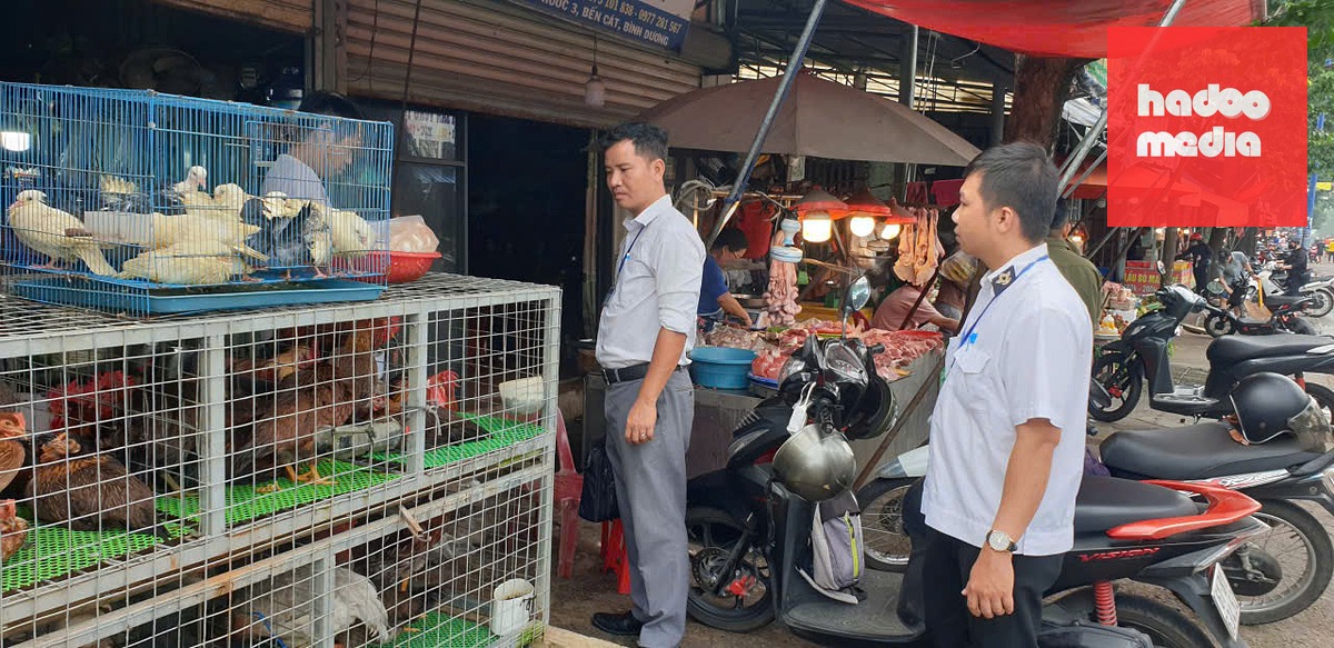 Những điểm chứa trữ vịt, gà sống, giết mổ gà, vịt tại các chợ đang vào "tầm ngắm" của cơ quan chức năng