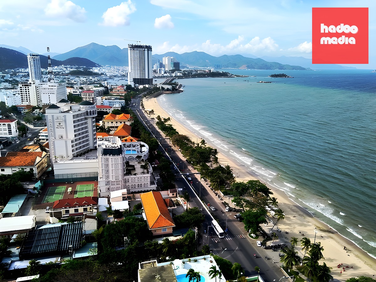 Khánh Hòa nhận người ở cả nước dự tuyển 417 công chức tỉnh và xã, phường  - Ảnh 2.