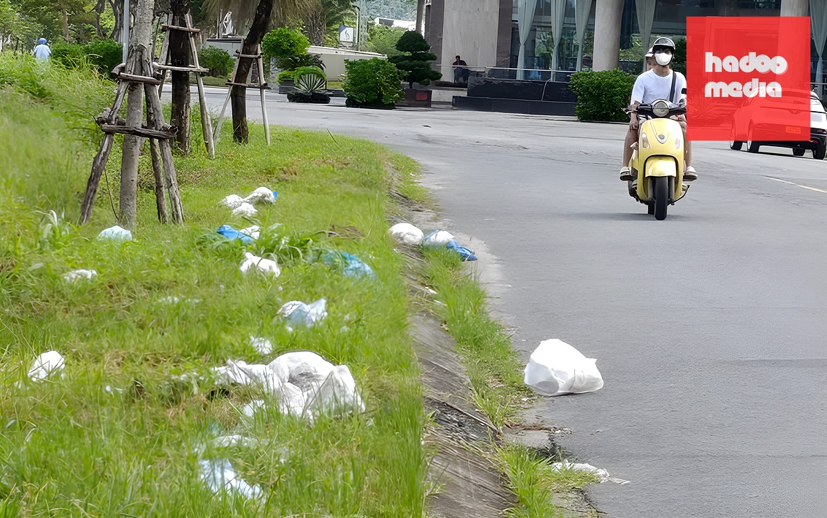 'Sốc văn hóa giao thông' khi tới Đà Nẵng và chuyện dừng đèn đỏ; Lý lẽ của vạch kẻ xương cá - Ảnh 3.