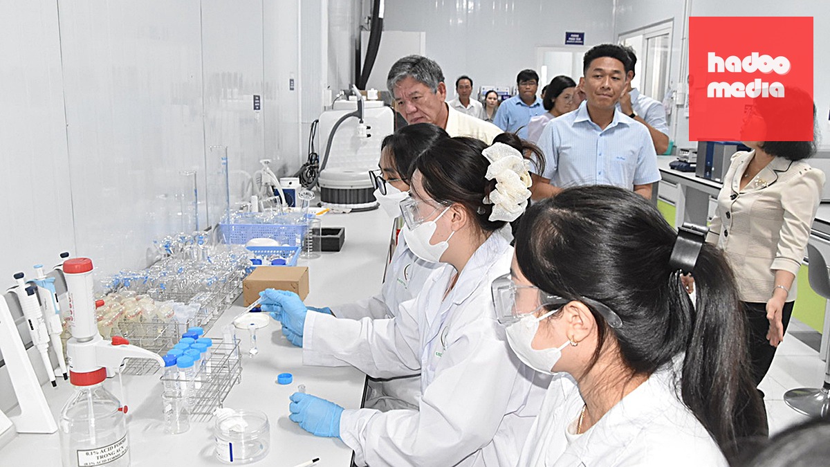 Đồng Tháp đang chuẩn bị đưa vào hai phòng kiểm nghiệm để test cadimi, chất vàng O trên trái sầu riêng -  Ảnh: MẬU TRƯỜNG
