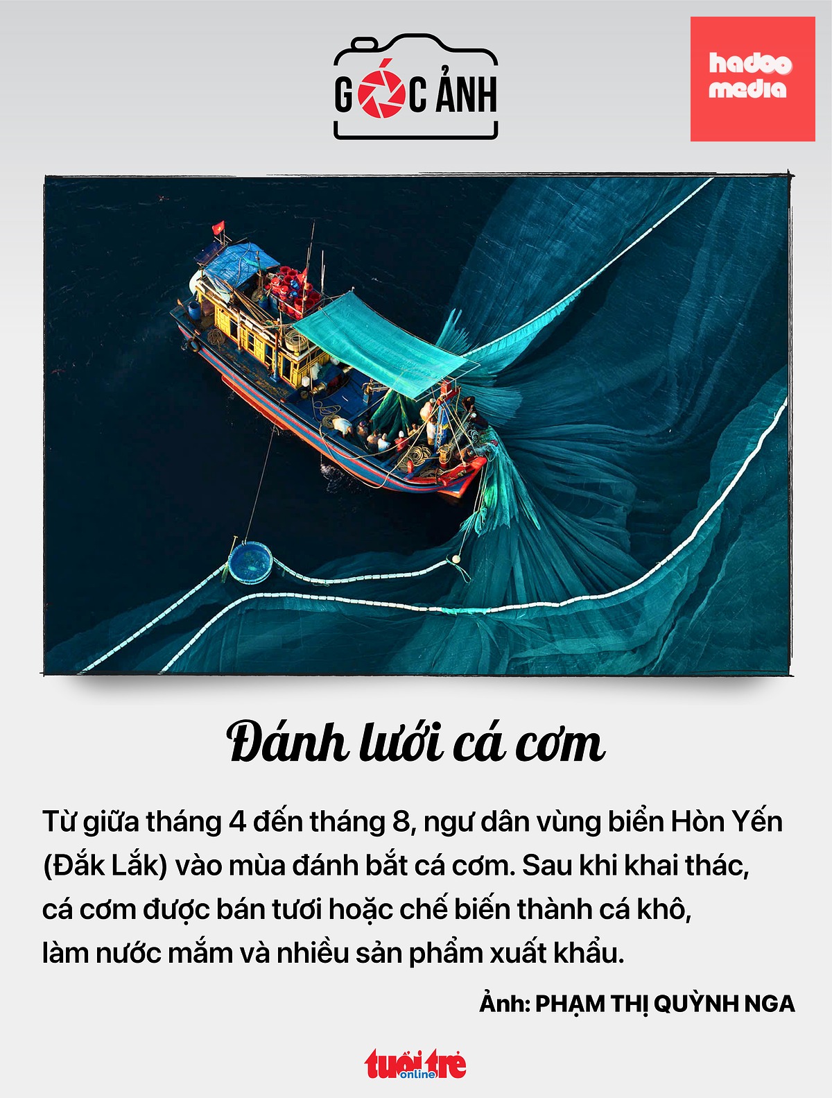Đánh lưới cá cơm - Ảnh: PHẠM THỊ QUỲNH NGA