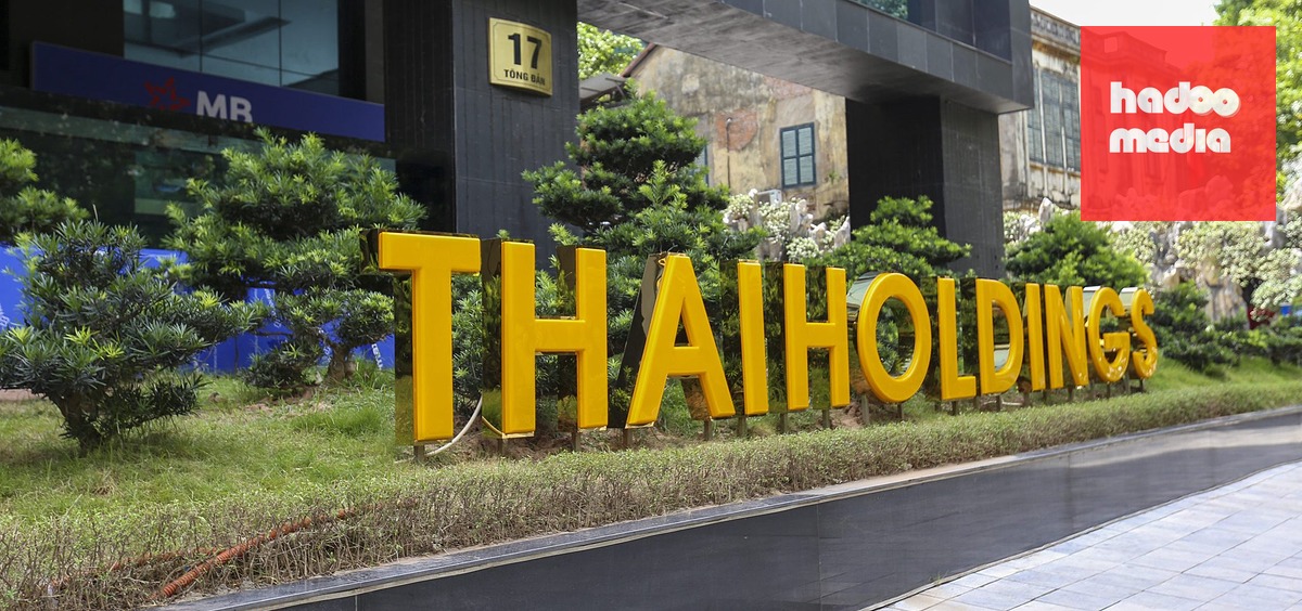 Cổ phiếu Thaiholdings tăng kịch trần liên tiếp - Ảnh: DN