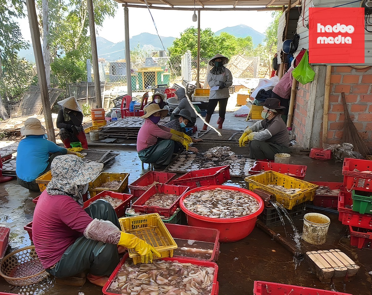 Các hộ sơ chế mực xà tại Đề Gi được chính quyền xã tuyên truyền vận động trước khi xử lý - Ảnh: V.T.