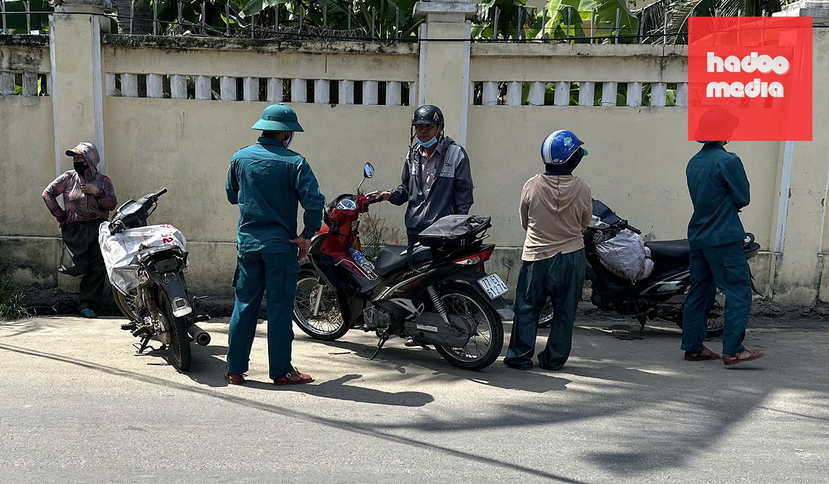 mực xà - Ảnh 3.
