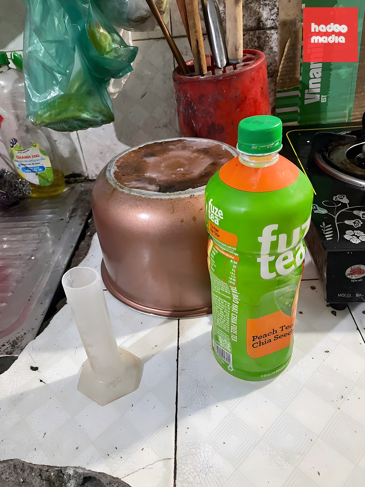 giá đỗ - Ảnh 4.