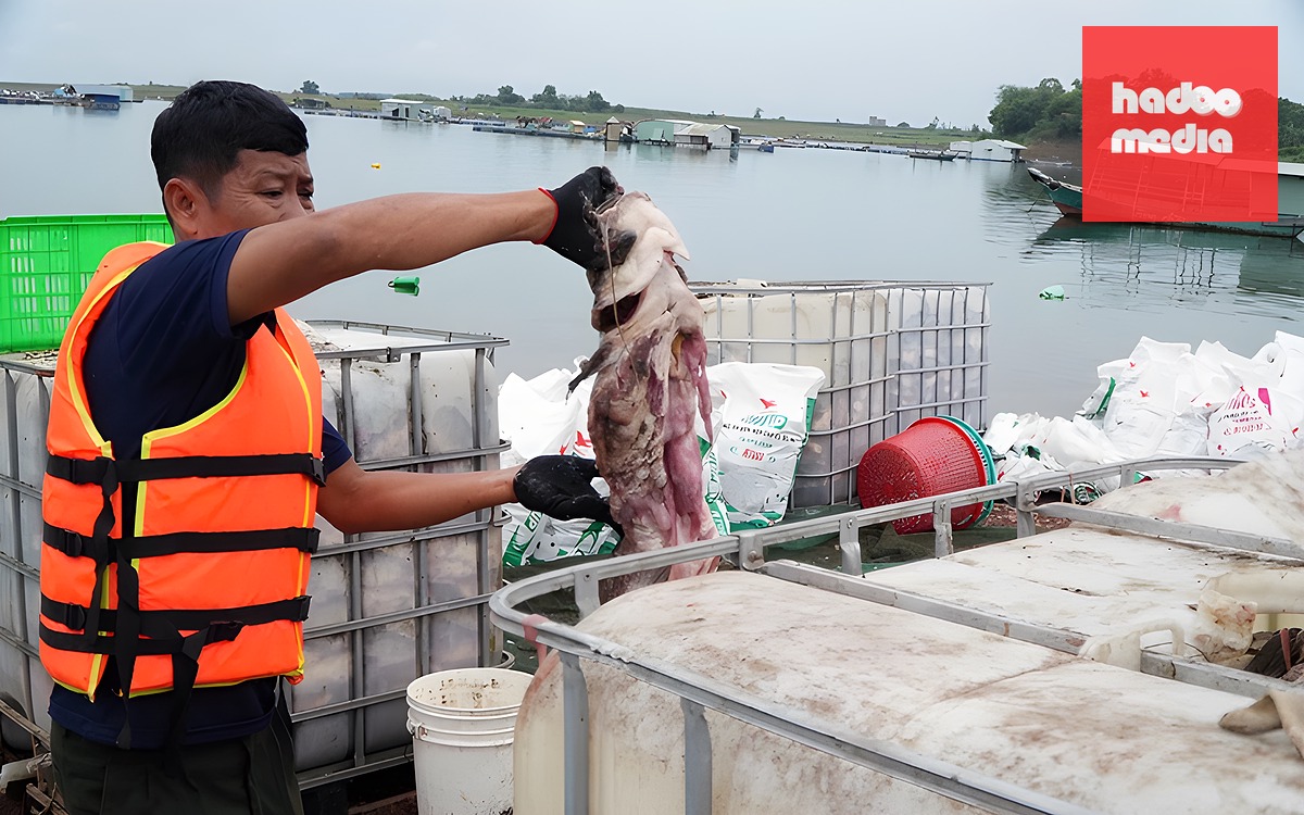 Thời tiết hôm nay 2-6: Bắc Bộ nắng oi bức, Nam Bộ mưa trút nước - Ảnh 2.