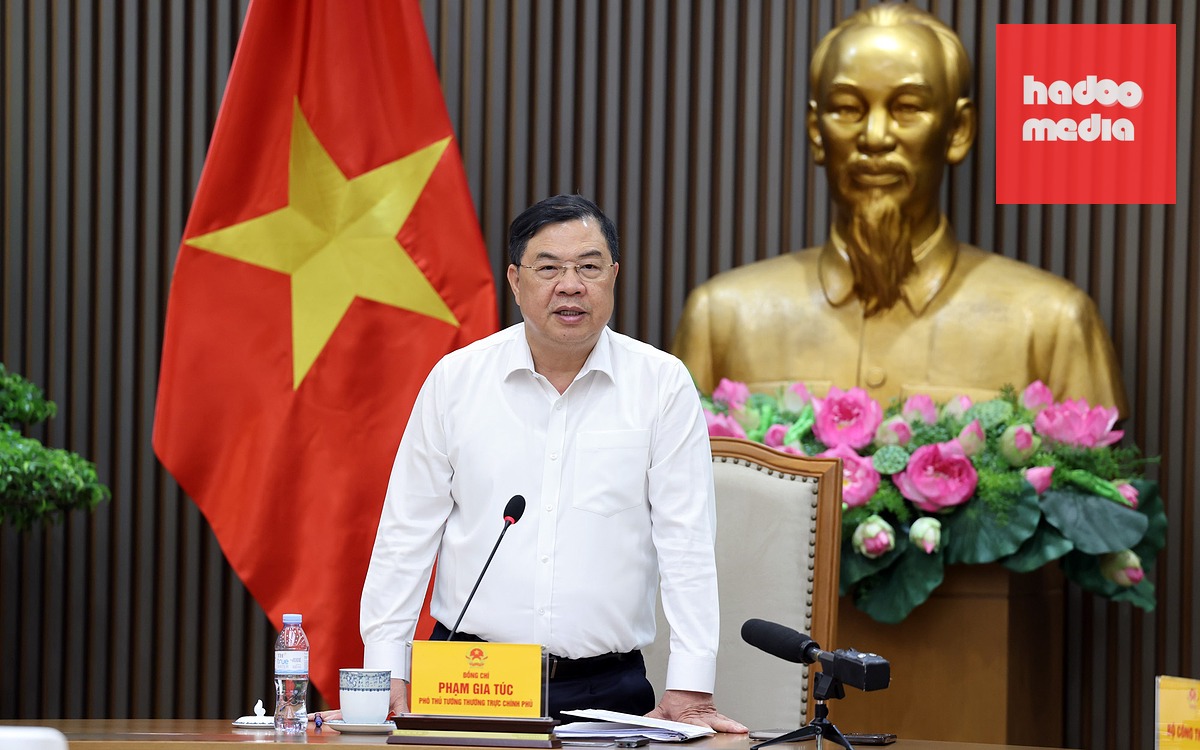 Phó thủ tướng thường trực Phạm Gia Túc - Ảnh: VGP