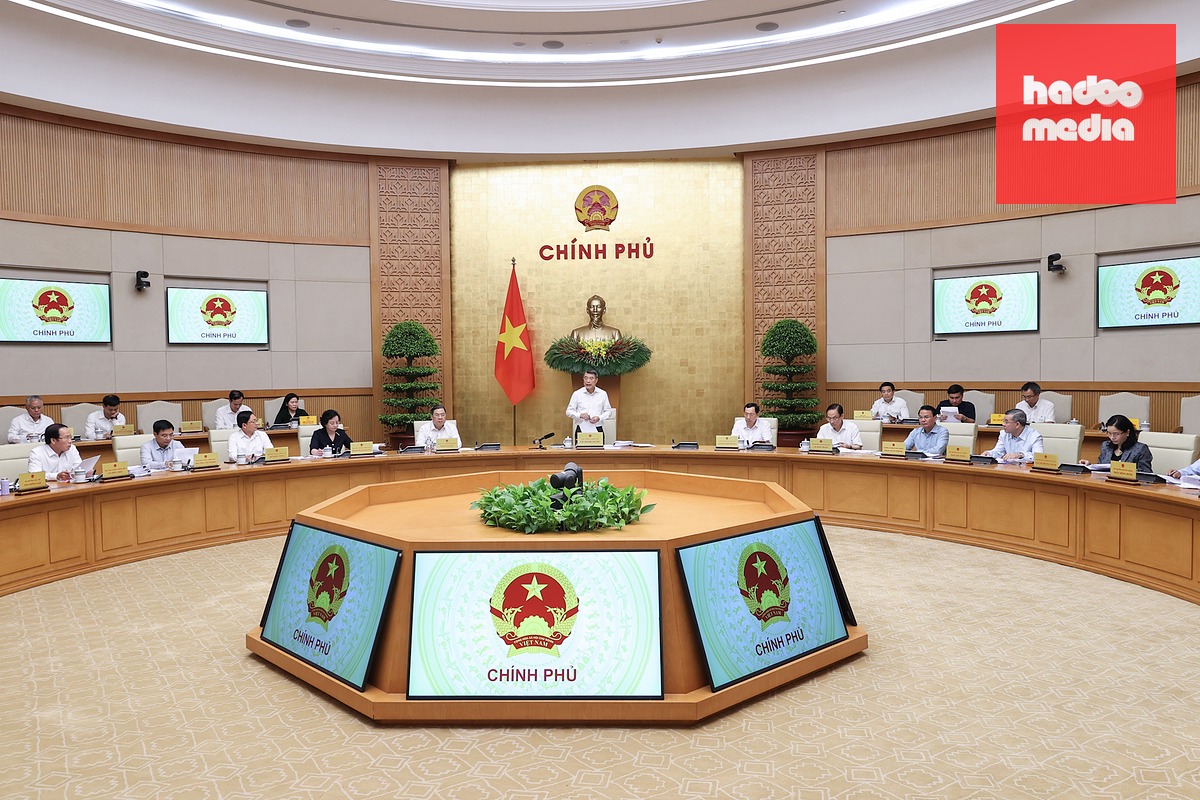 Phiên họp Chính phủ thường kỳ tháng 5-2026 - Ảnh: VGP