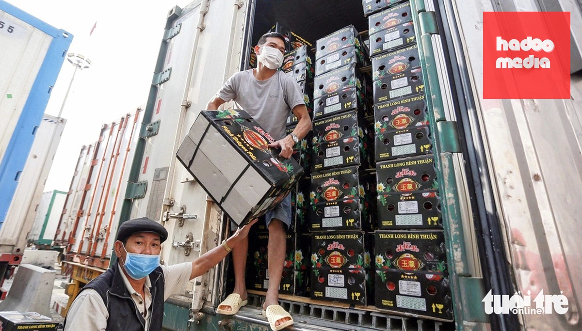 Hàng hóa nông sản, trái cây xuất khẩu tại một cửa khẩu phía Bắc - Ảnh: C.TUỆ
