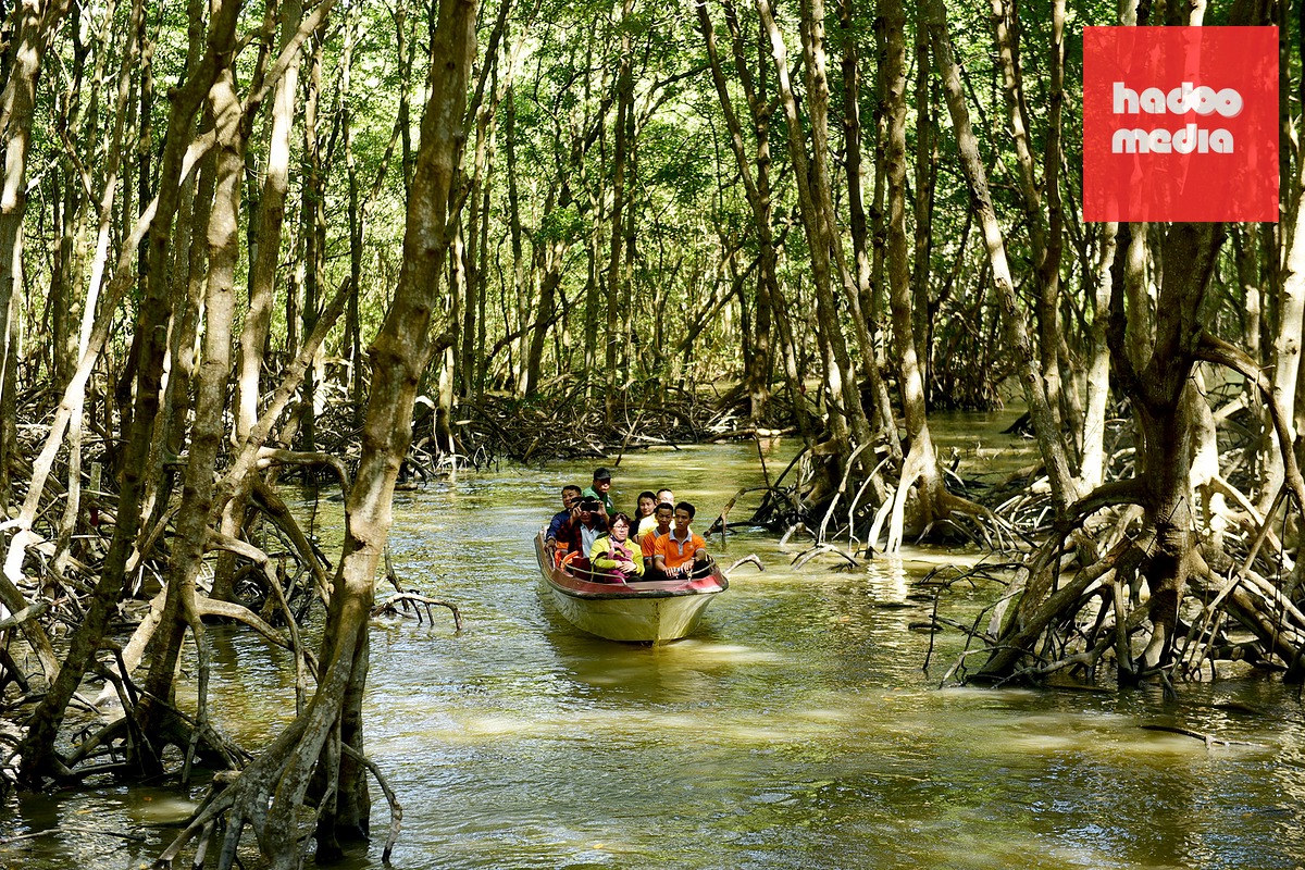 Cần Giờ sở hữu Khu dự trữ sinh quyển thế giới được UNESCO công nhận, hệ sinh thái rừng ngập mặn, tài nguyên biển, cửa sông và những giá trị văn hóa cộng đồng địa phương - Ảnh: QUANG ĐỊNH