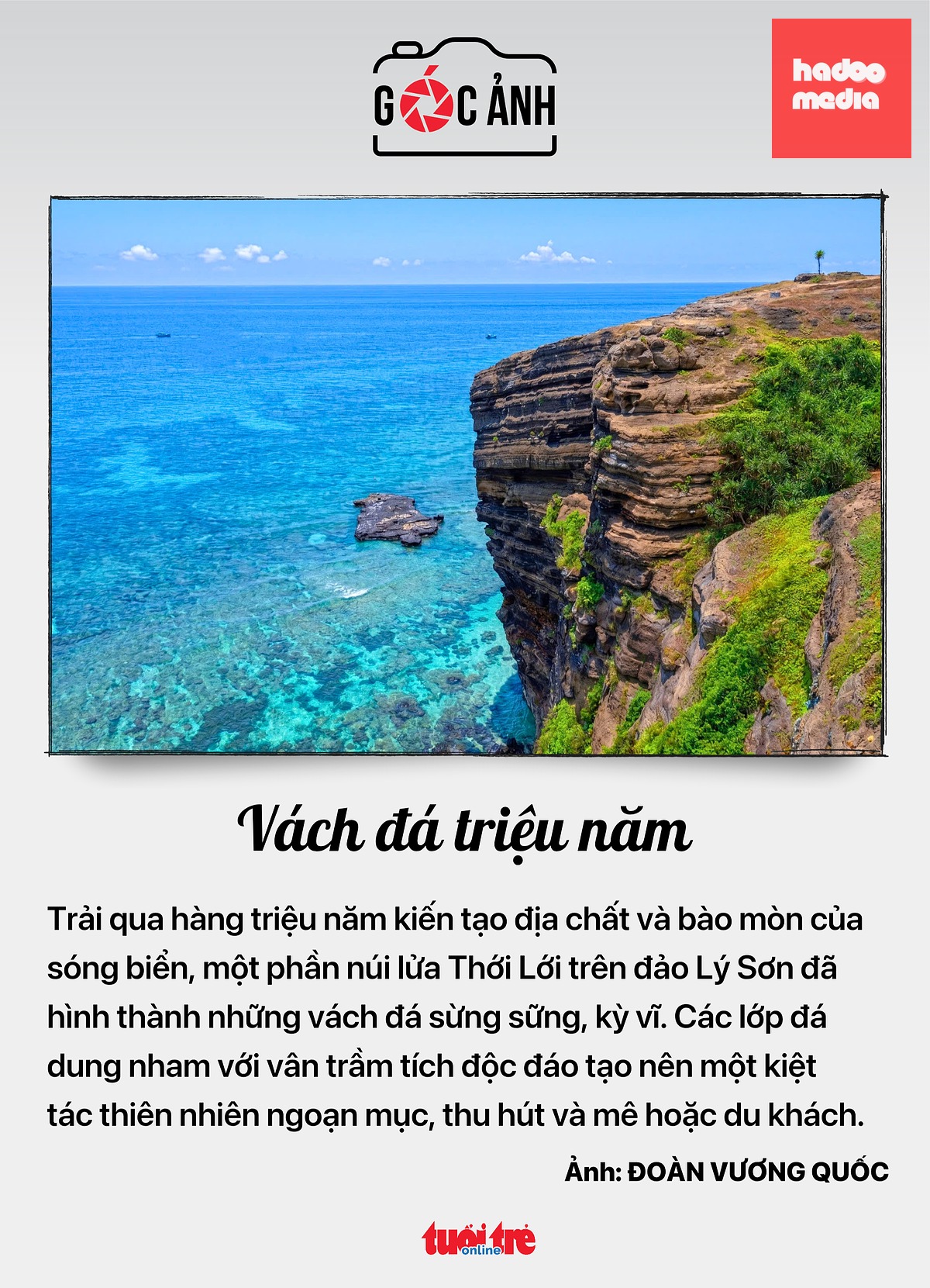 luật sư - Ảnh 6.