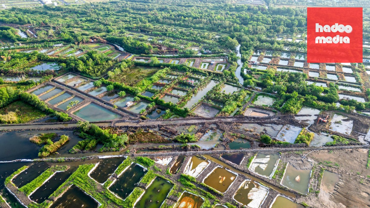 Khu vực sản xuất của người dân giáp với dự án. Ảnh: An Minh