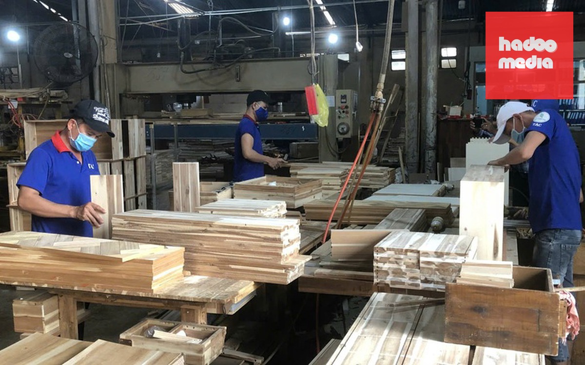 Tìm cơ hội tự chủ nguyên liệu đầu vào cho ngành gỗ tại ĐBSCL - Ảnh 2.
