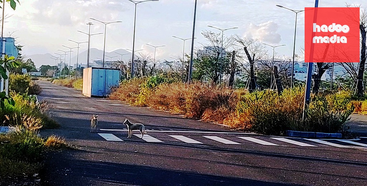 Một góc dự án ở sân bay Nha Trang của Công ty CP Tập đoàn Phúc Sơn - Ảnh: PHAN SÔNG NGÂN