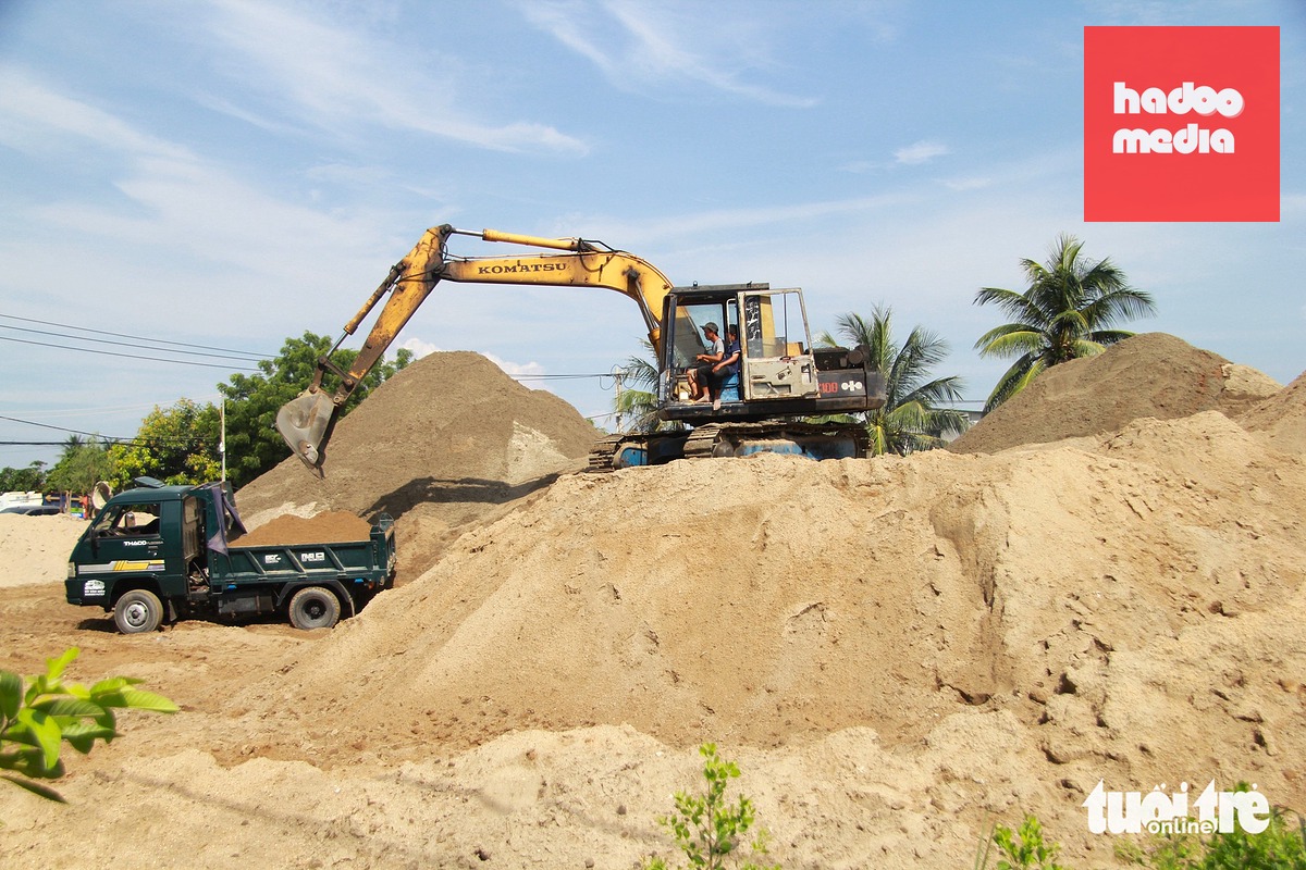 Cát được tập kết về bãi có cả cát động (cát biển) - Ảnh: ĐỨC CƯỜNG