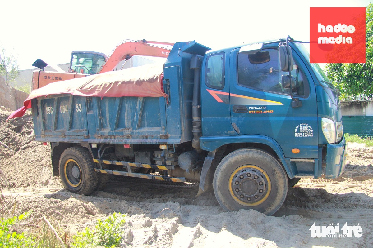 Xe tải chở cát ra vào bãi tập kết cát - Ảnh: ĐỨC CƯỜNG