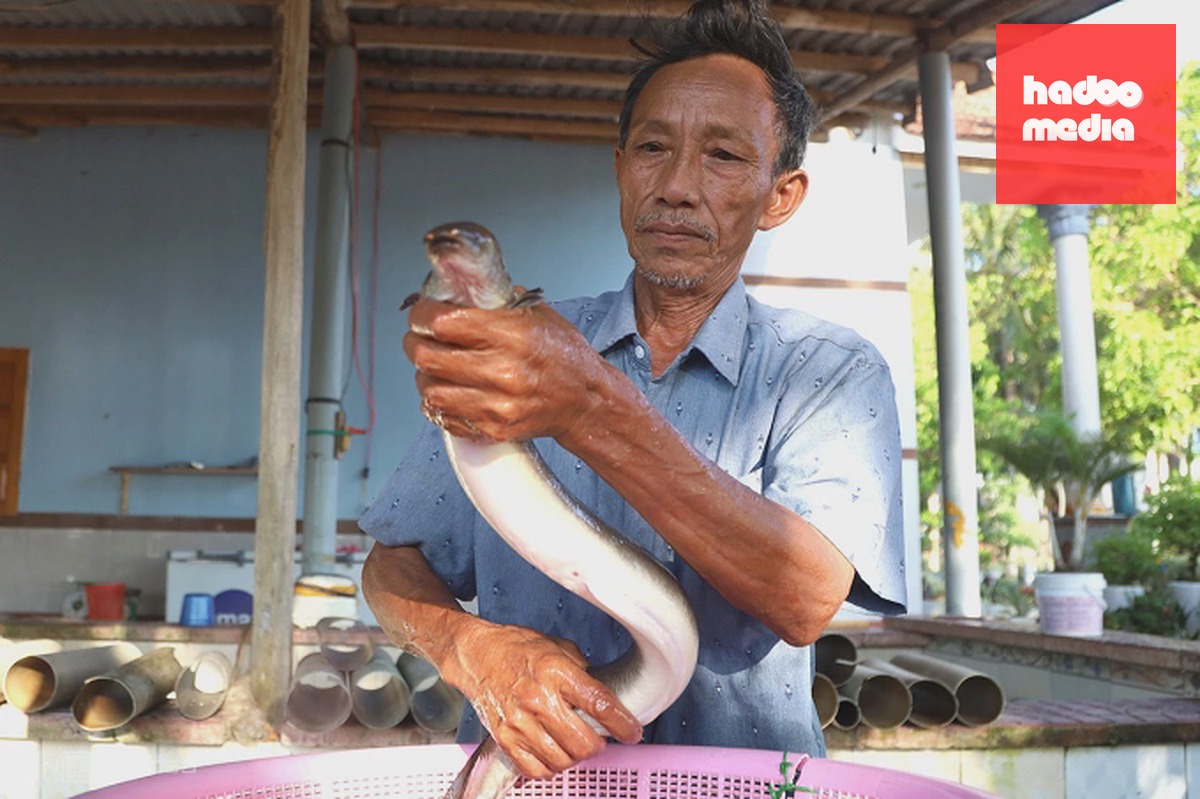 Ông Võ Tuấn Tú có công hồi sinh loài cá chình trên đầm Trà Ổ. Ảnh: Trần Hóa