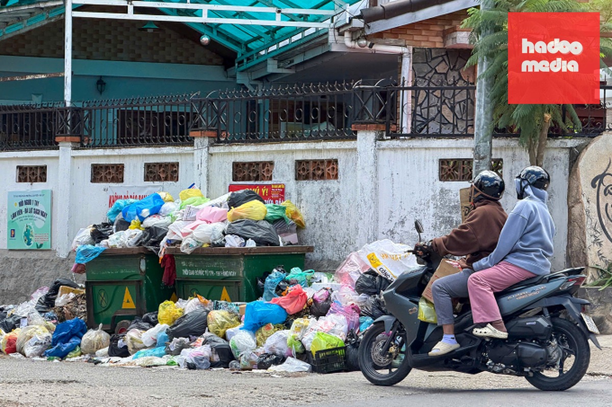 Rác tập kết tràn ra đường Nguyễn Đình Chiểu, phường Lâm Viên - Đà Lạt. Ảnh: Khánh Hương