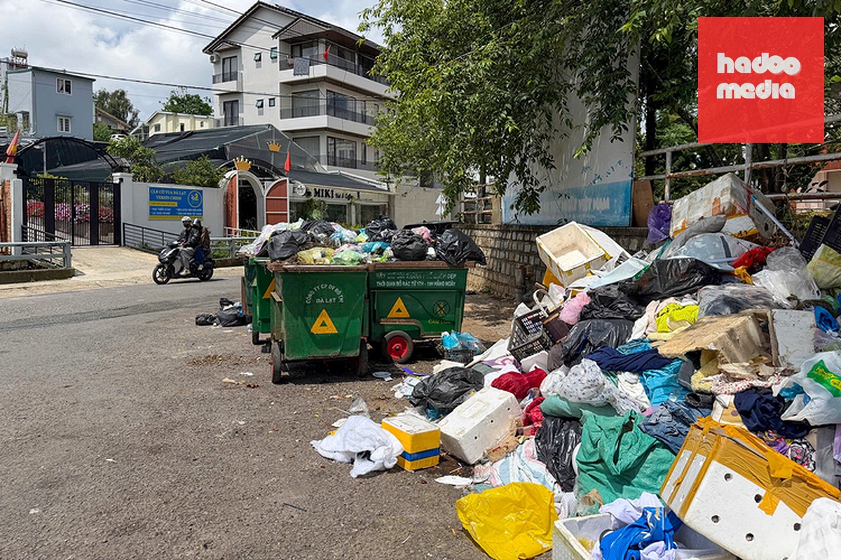 Hàng trăm tấn rác ùn ứ giữa mùa du lịch tại Đà Lạt