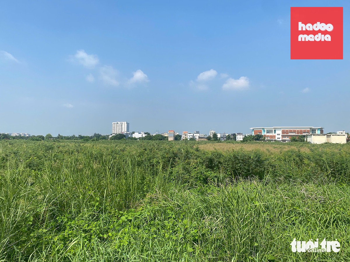 Phần lớn diện tích đất mà 34 khách hàng đã ký hợp đồng chuyển nhượng quyền sử dụng đất nền khu nhà ở Thành Mỹ Lợi, hợp đồng hoán đổi đất nông nghiệp (tái định cư tại chỗ) với chủ đầu tư là Công ty TNHH MTV Phát triển khu công nghiệp Sài Gòn (nay là Công ty cổ phần Tiếp vận Đông Sài Gòn) hiện đã hoang hóa - Ảnh: C.T.