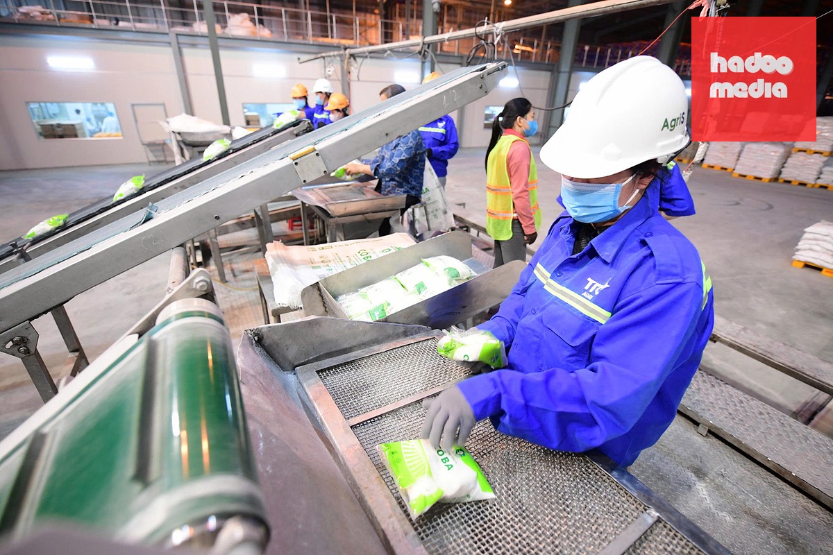 Quy trình sản xuất đường tại TTC AgriS - Anh: QUANG ĐỊNH