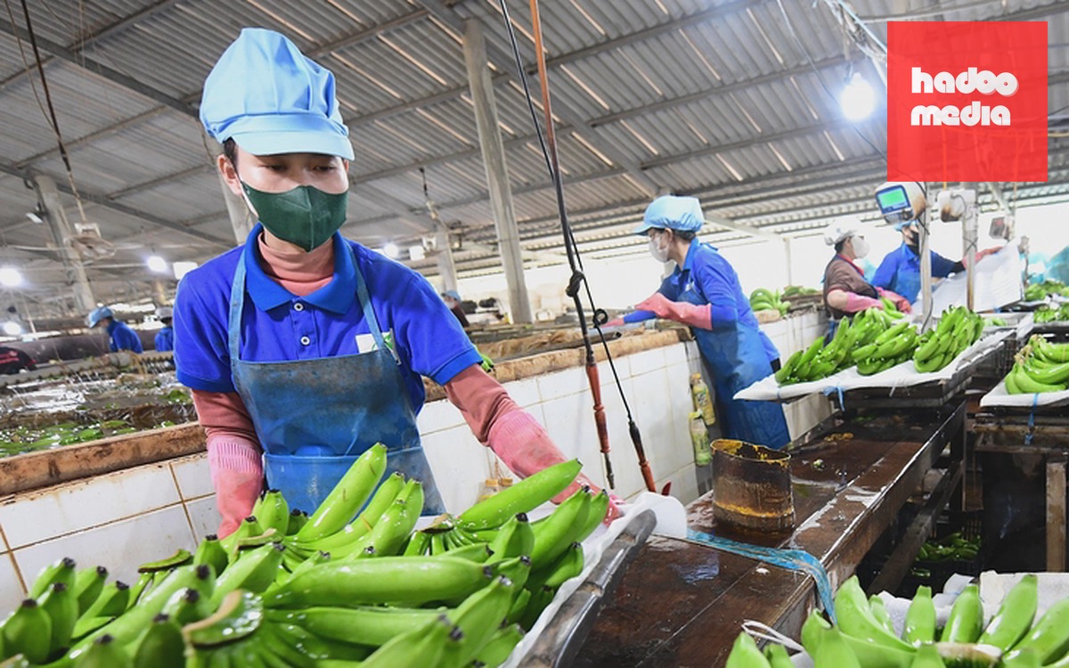 Nhân tố Việt Nam trong đối thoại Nga - ASEAN - Ảnh 3.