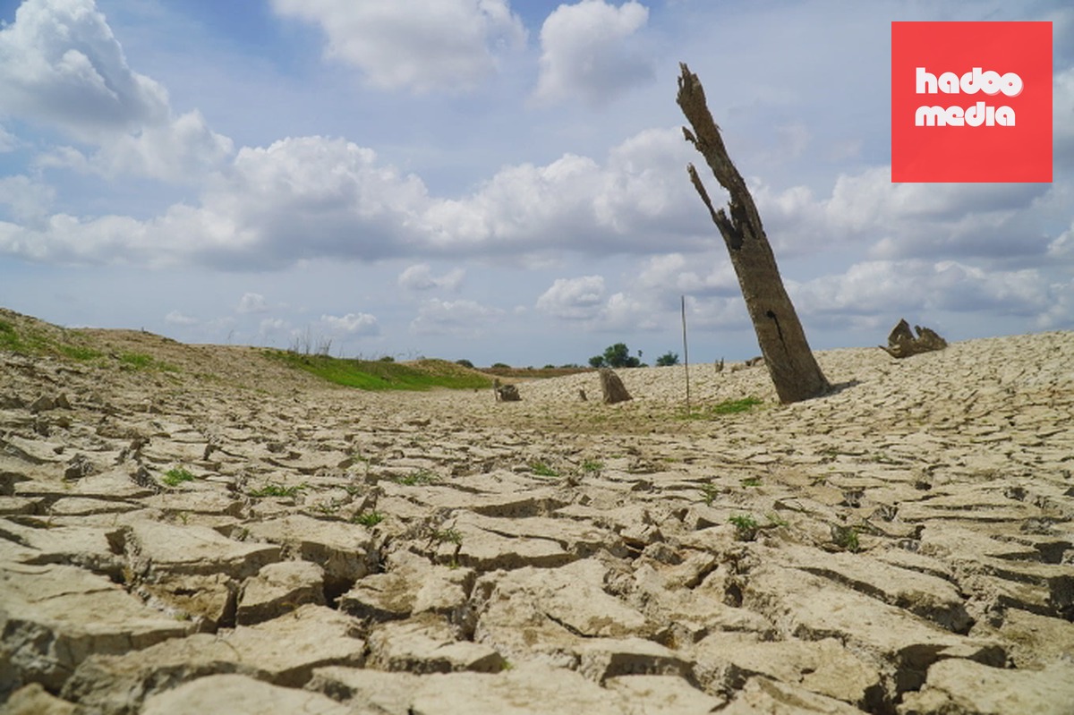 Lòng hồ thủy lợi Tà Mon, Lâm Đồng năm 2020. Ảnh: Việt Quốc