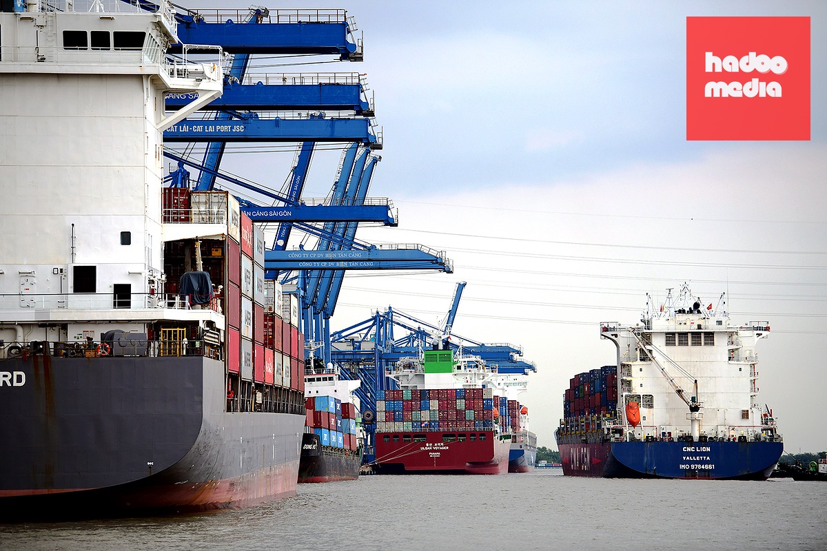 Nhập khẩu hàng hóa tại cảng Cát Lái, TP.HCM - Ảnh: TRÚC PHƯƠNG