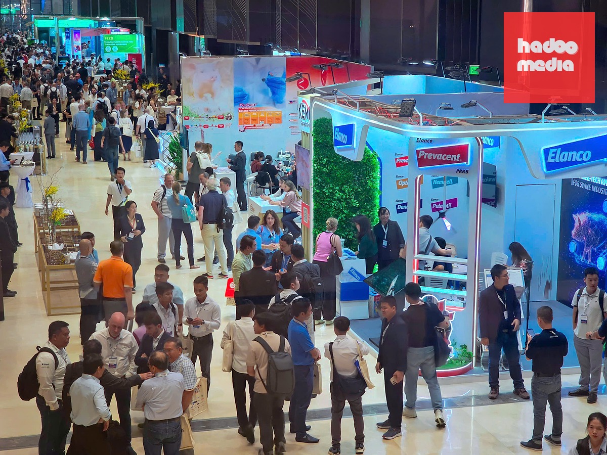 Hội nghị Chăn nuôi thú y heo Thế giới (IPVS 2026) lớn nhất thế giới lần đầu tiên được tổ chức tại Việt Nam - Ảnh: NHẬT XUÂN