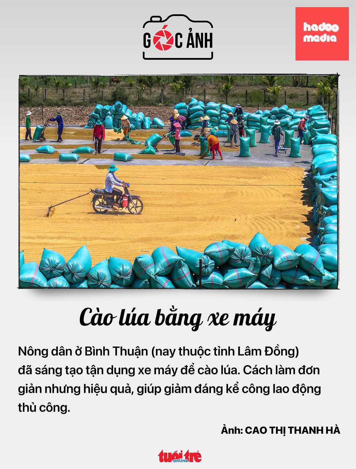 Tin tức sáng 19-6: Trưởng thôn, tổ trưởng dân phố nghỉ việc do sáp nhập được hưởng chế độ tinh giản biên chế - Ảnh 7.
