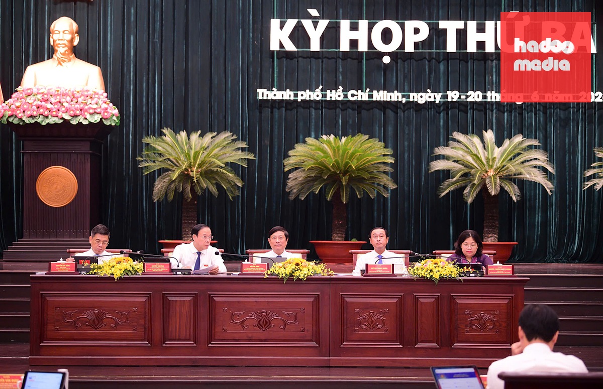 Các đại biểu dự cuộc họp HĐND TP.HCM sáng 19-6 - Ảnh: QUANG ĐỊNH
