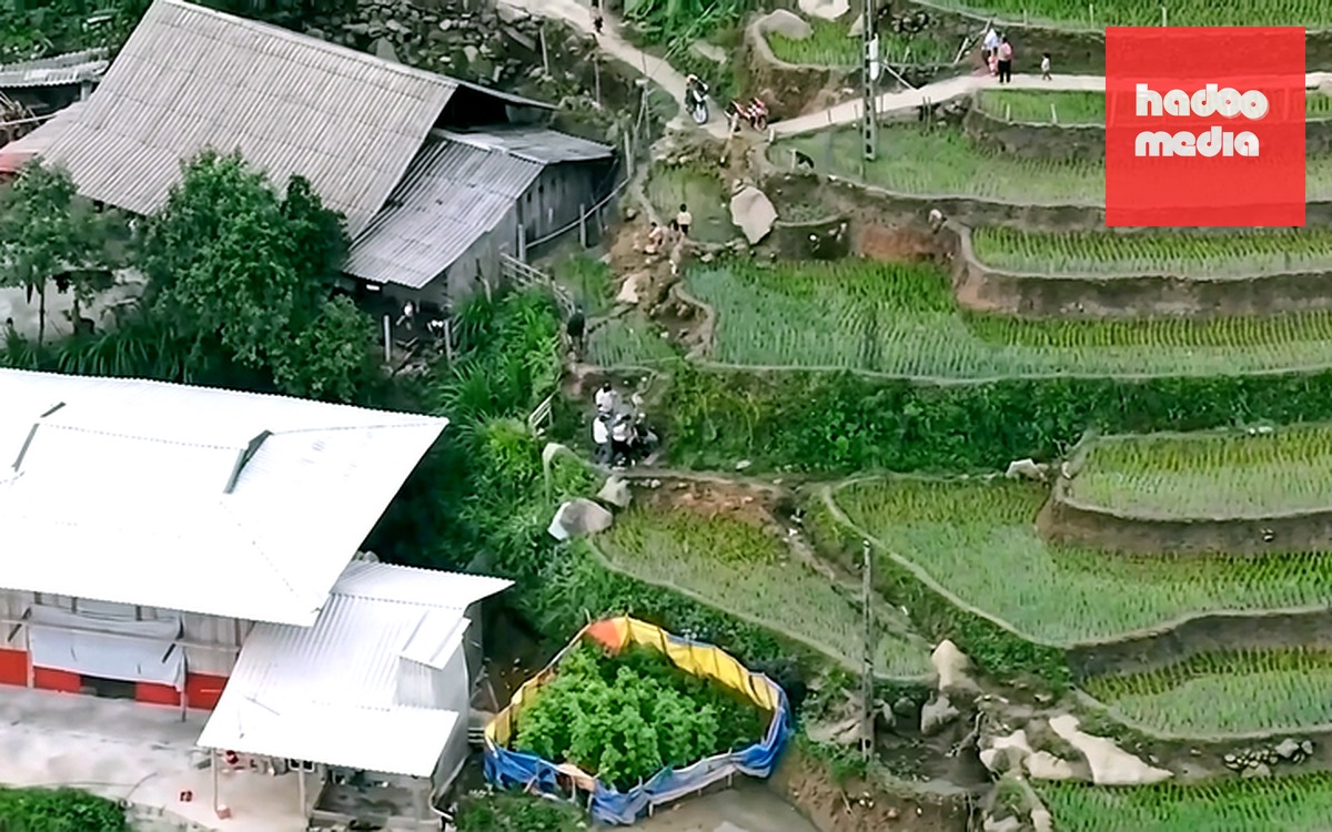 Hơn 100 công an bí mật hành quân trong đêm, bắt gọn ổ nhóm ma túy trong rừng sâu - Ảnh 2.