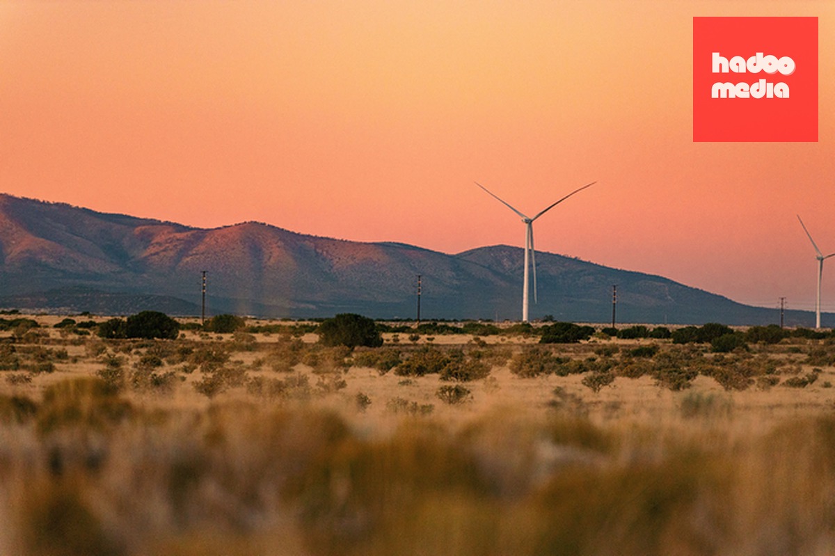 Một phần trang trại điện gió SunZia, bang New Mexico, ngày 18/6. Ảnh: Reuters