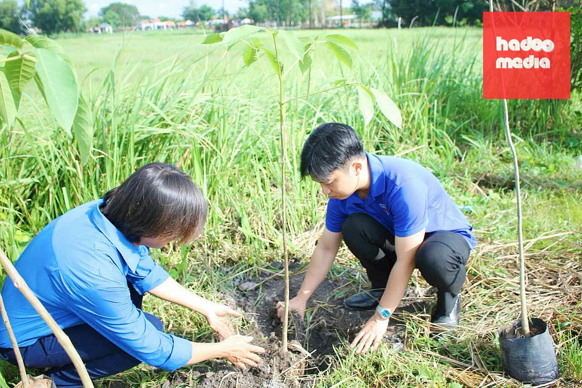 Đoàn viên tham gia trồng cây kèn hồng trên tuyến đường Trần Văn Chẩm