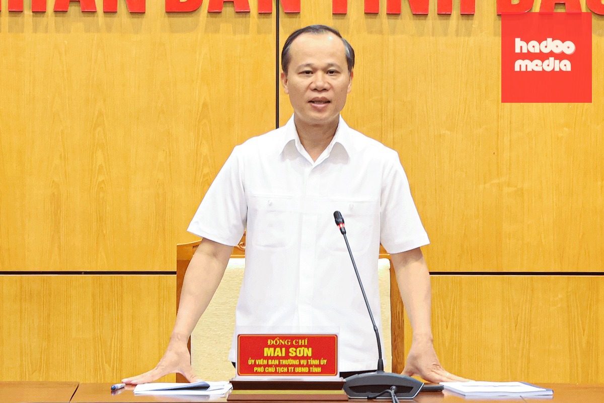 Ông Mai Sơn - Phó chủ tịch thường trực UBND tỉnh Bắc Ninh - Ảnh: KHÁNH NGÂN