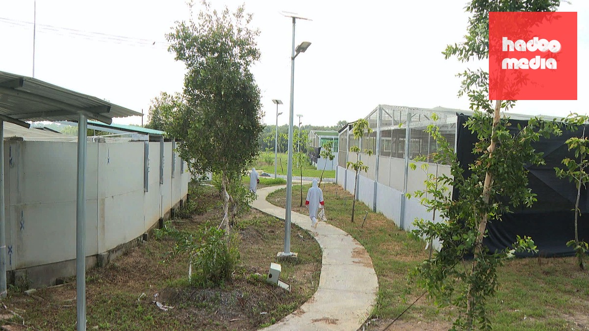 Khu vực chăm sóc sếu tại Trung tâm Bảo tồn và hợp tác quốc tế tại Vườn quốc gia Tràm Chim - Ảnh: Đ.T.