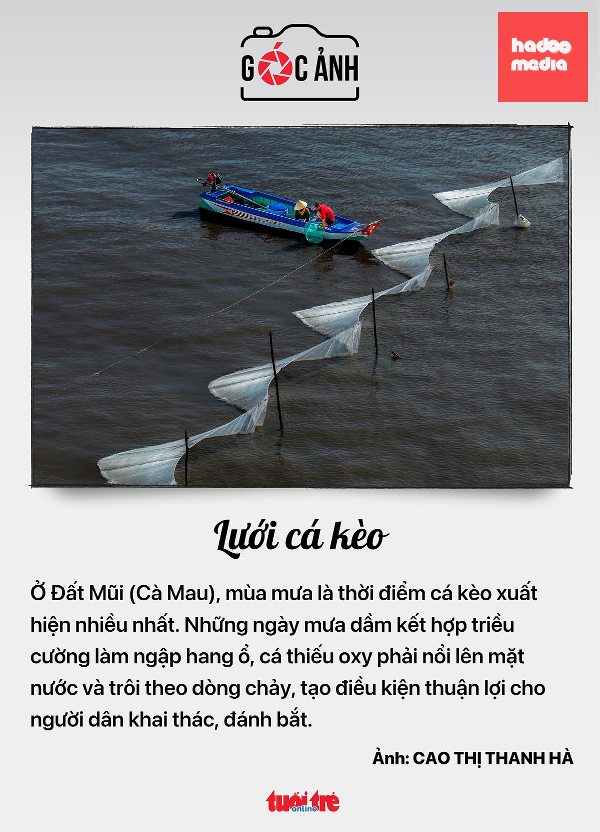 - Ảnh 5.