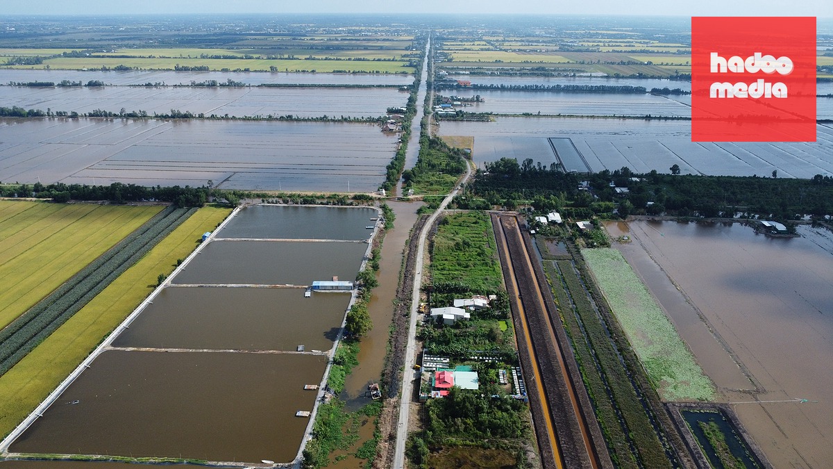 Tỉnh Đồng Tháp sẽ đầu tư các tuyến đường nối từ các tuyến giao thông huyết mạch vào vùng Đồng Tháp Mười - Ảnh: MẬU TRƯỜNG
