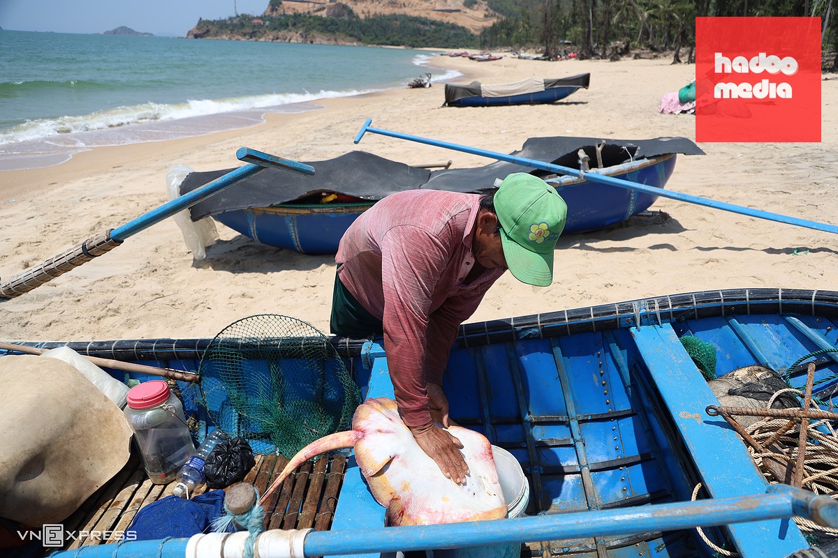 Làng phong Quy Hòa ở Quy Nhơn trước ngày di dời làm khu nghỉ dưỡng