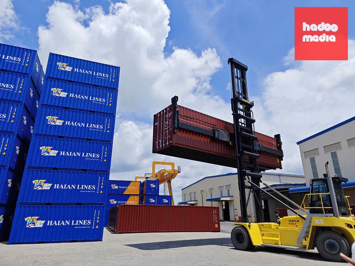 Doanh nghiệp xuất khẩu đang chịu rất nhiều khoản phí gồm cước vận chuyển, phí xếp dỡ, hạ rỗng, nâng hạ container, niêm phong chì, khai báo và các dịch vụ khác... - Ảnh: CÔNG TRUNG