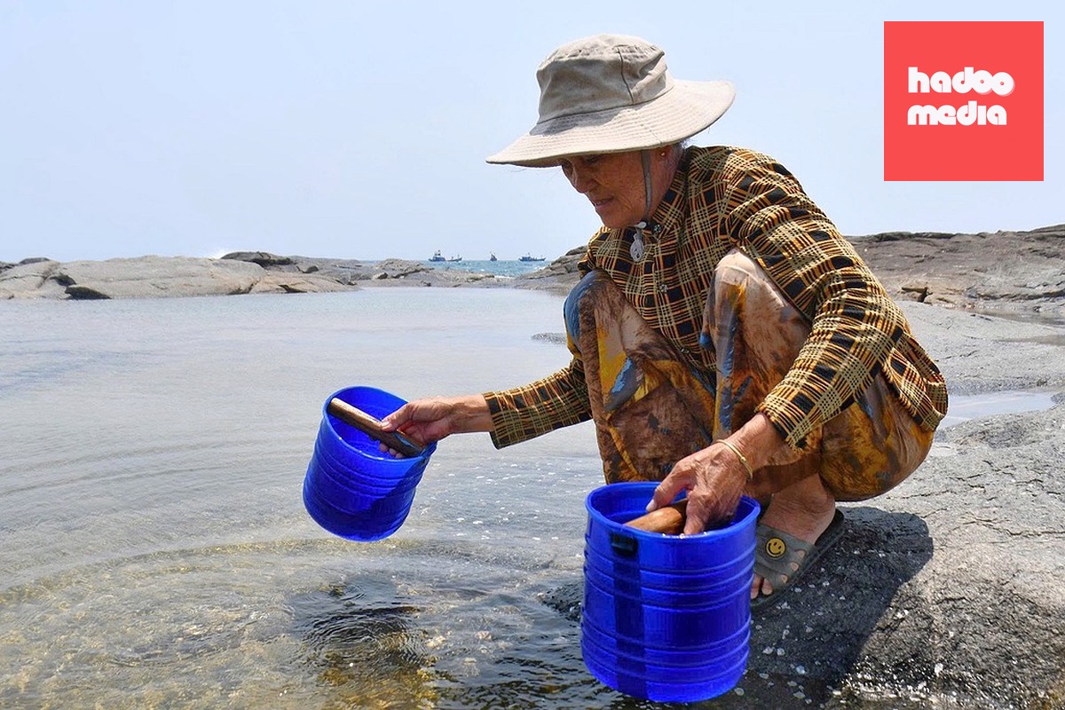 Bà Vân dùng gàu múc nước biển đã phơi nắng vào các ô đá trũng để muối kết tinh. Ảnh: Vũ Linh