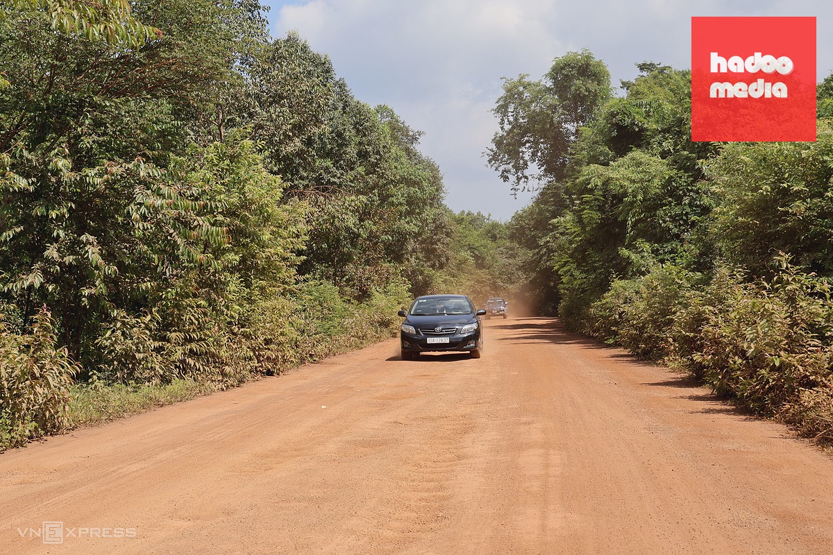 Dự án đường xuyên rừng Mã Đà với 13 km cầu trên cao trước ngày khởi công
